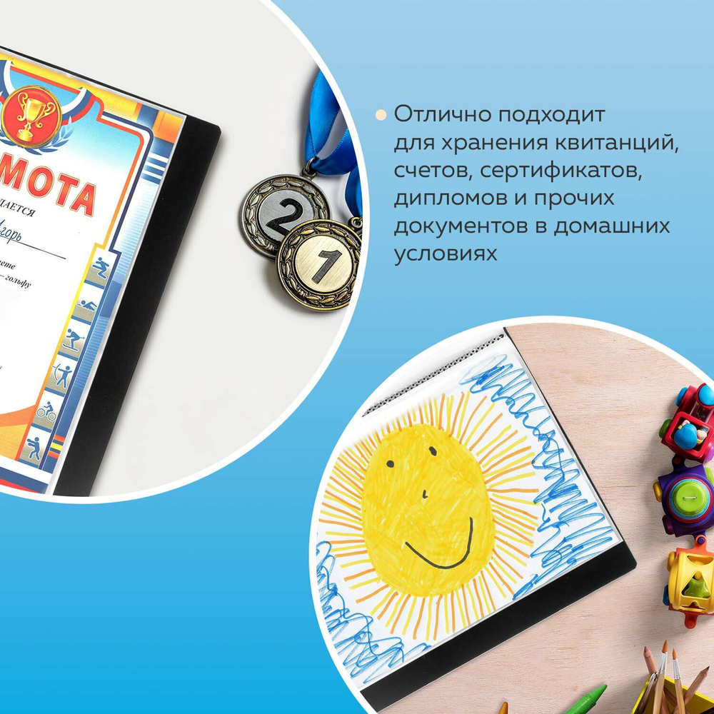 Папка 100 вкладышей BRAUBERG стандарт черная 0 9 мм (2 штуки в упаковке)