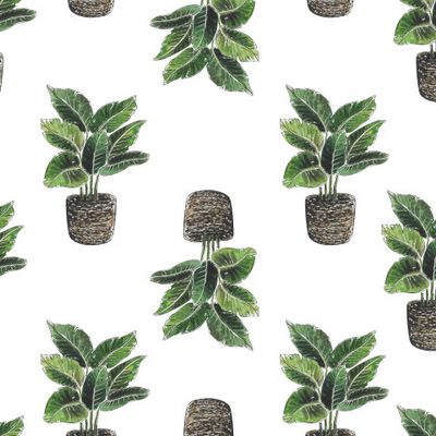 Цветок в горшке