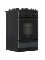 Плита газовая 5500-02 0115