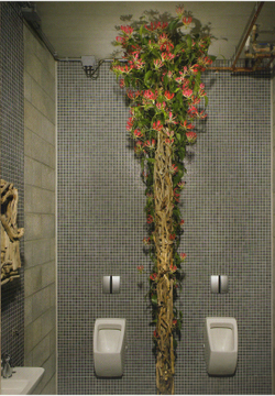 Natural Interior Design