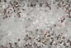 Коллекция Forma