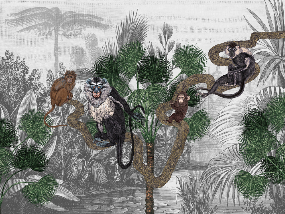 Коллекция ZOO 21