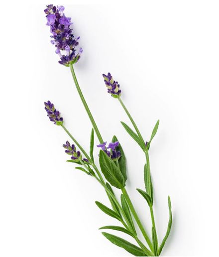 Keune So Pure Маска-скраб Обновляющая Exfoliating Treatment 100 мл