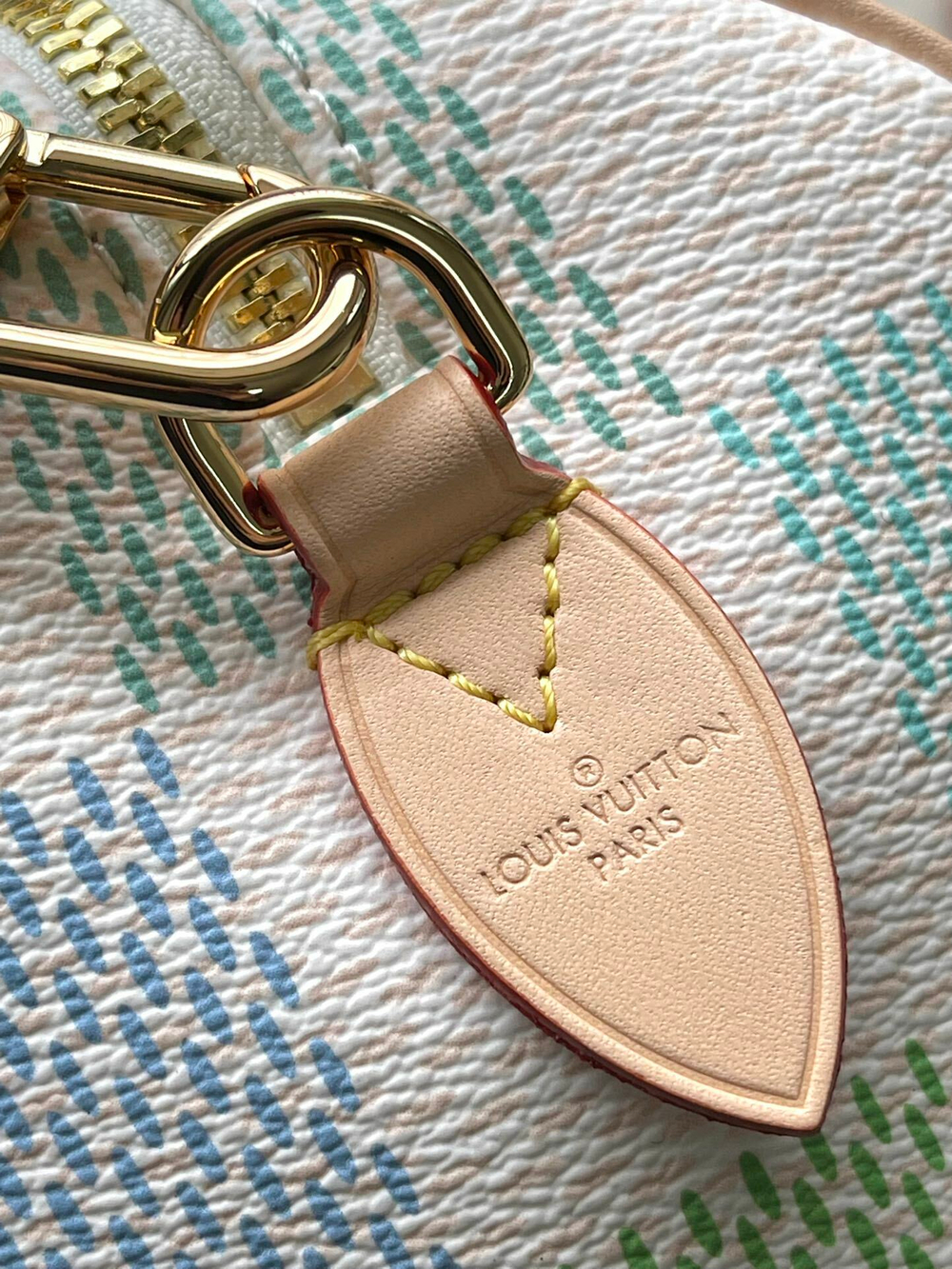 Louis Vuitton Speedy 20