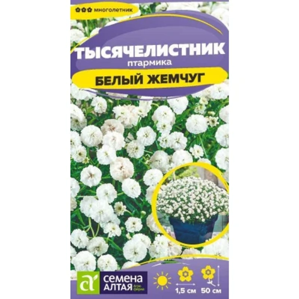 Тысячелистник Белый жемчуг 0,05г Семена Алтая - многолетник