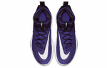 Кроссовки Nike Zoom Rize Tb