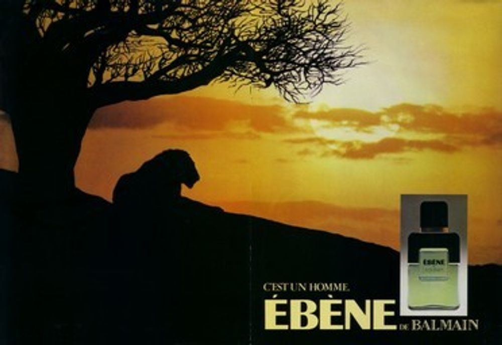 Pierre Balmain Ebene