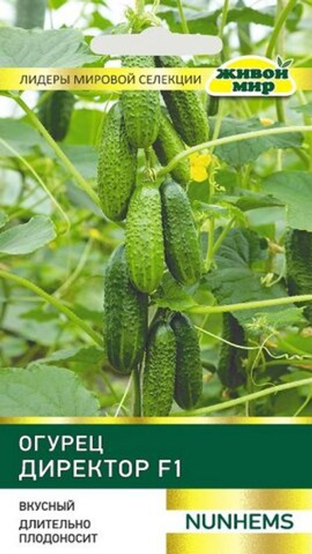 Огурец "ЖМ. Диpeктop F1" 5шт, Нидерланды.