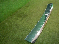 DSCN0620.jpg