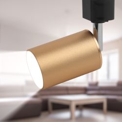 Трековый светильник однофазный ЭРА TR14-GU10 SG под лампу GU10 сатин-золото