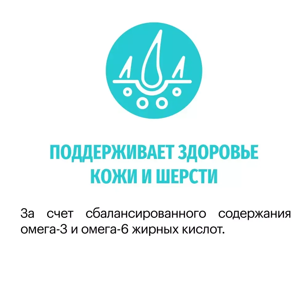 Сухой корм Karmy Hypoallergenic Medium & Maxi для взрослых собак средних и крупных пород, склонных к пищевой аллергии, с уткой