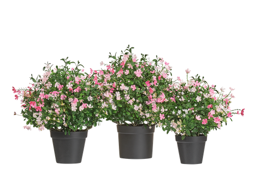 Альпийское разнотравье куст Средний нежно-розовый с белым в-47 см, д-47 см 4/12 20.0224072RS-M