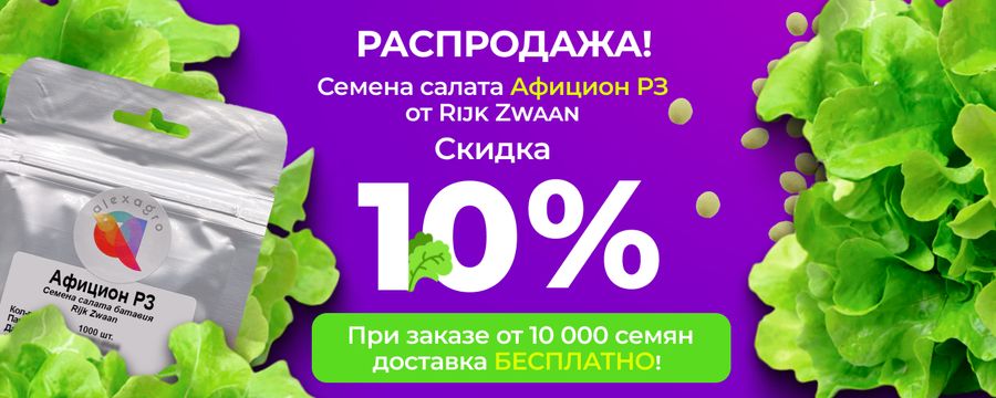 Скидка 10% на АФИЦИОН РЗ семена салата (Rijk Zwaan | Alexagro) по промокоду!