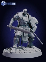 Стражи Света Миниатюры 10 шт. Dnd