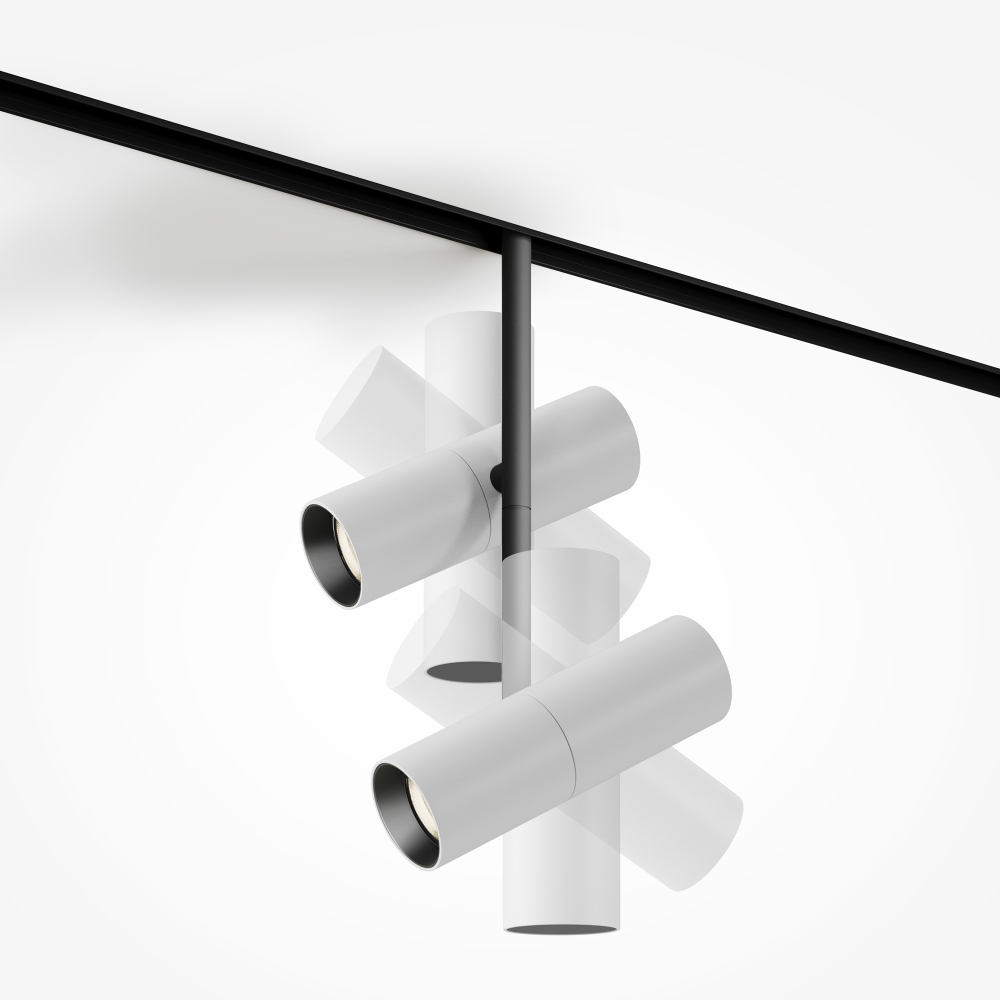 Магнитный трековый светильник Maytoni Elti Duo TR005-4-2X12W-DS-BW