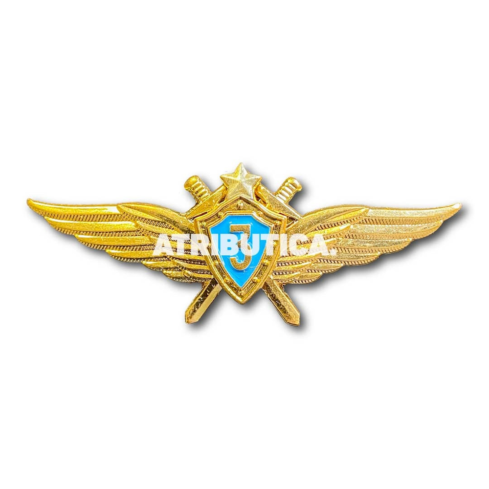 Знак Нагрудный Классность ВВС Летчик 3 Класс | ATRIBUTICASTORE.RU