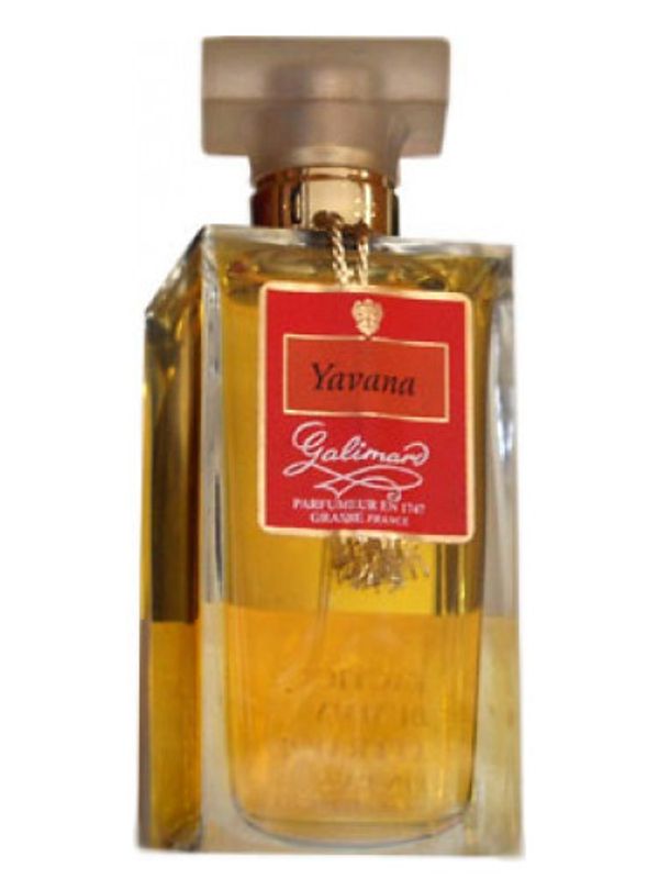 Galimard Yavana