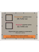 Рамка для постера и фотографий 29,7x42