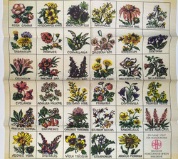 Ерохин Н. Д. Приусадебное цветоводство. Ярославль, Верхне-Волжское издат., 1972г.