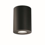 Потолочный светильник Technical C016CL-01B