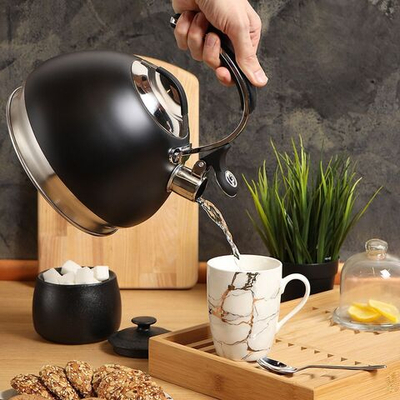 Чайник нерж, 3 л, свист, ручк с силик покр, Daniks, чер, MSY-A060B