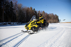 Снегоход Рыбак Торос 600S 800Pro