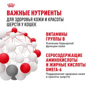 Пауч Royal Canin Hair&Skin Care для взрослых кошек для поддержания здоровья кожи и красоты шерсти, тонкие ломтики в желе