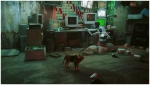Игра Stray (PS5, русские субтитры)