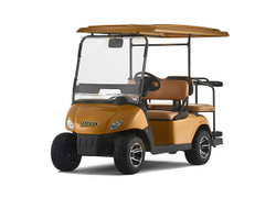 Гольфкар EWAY HM2+2