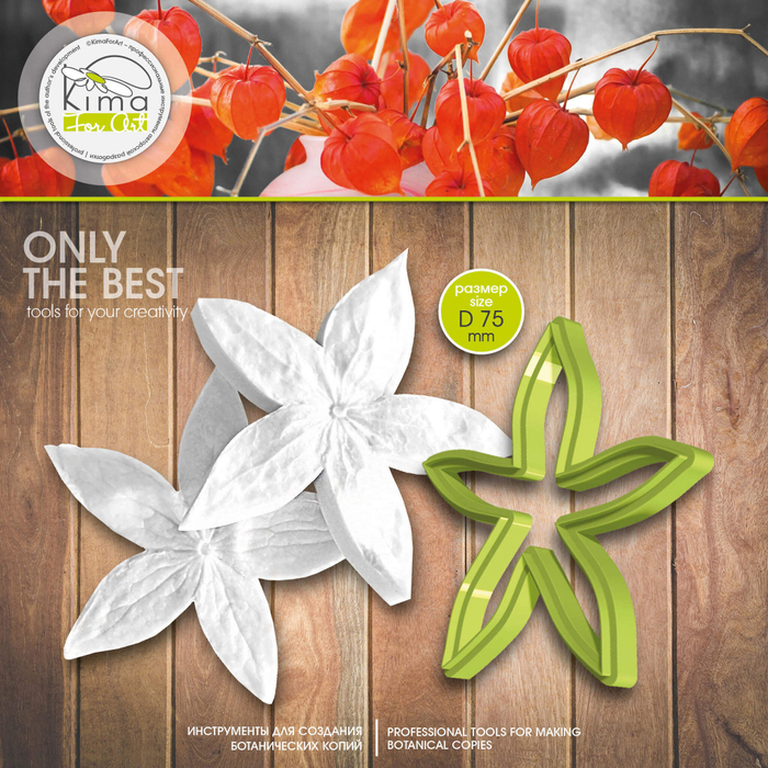 Физалис коробочка средняя