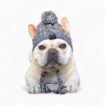 Шапка «Дания»