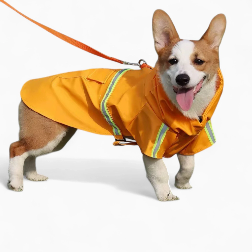 Дождевик «Big city»