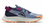 Кроссовки Nike Pegasus Trail 2 (Женская размерная сетка)