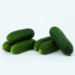 Стартап F1 семена огурца партенокарпического (Гавриш)