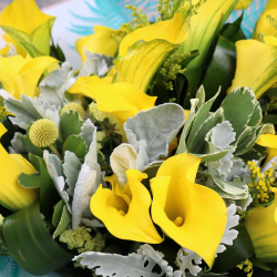 Букет из калл "Неаполь"