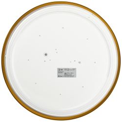 Светильник потолочный светодиодный ЭРА Relict 38 SPB-6-40 4К MG 40W 4000K Золото