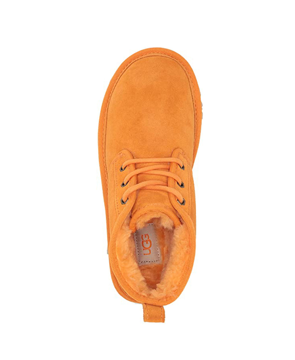 NEUMEL-california poppy