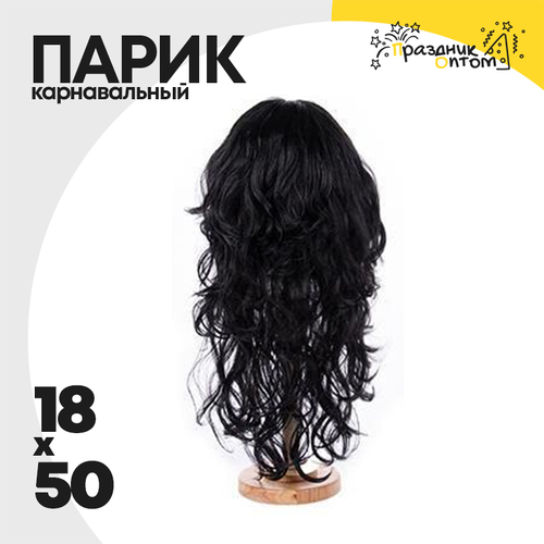 парик 18 х 50 карнавальный (черный)