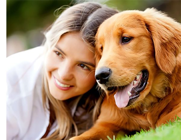 Собака в квартире. Какую породу выбрать? Собака в квартире. Какую породу выбрать?