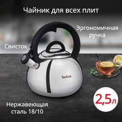 Чайник для плиты Tefal Intuition 2.5 л N4180317