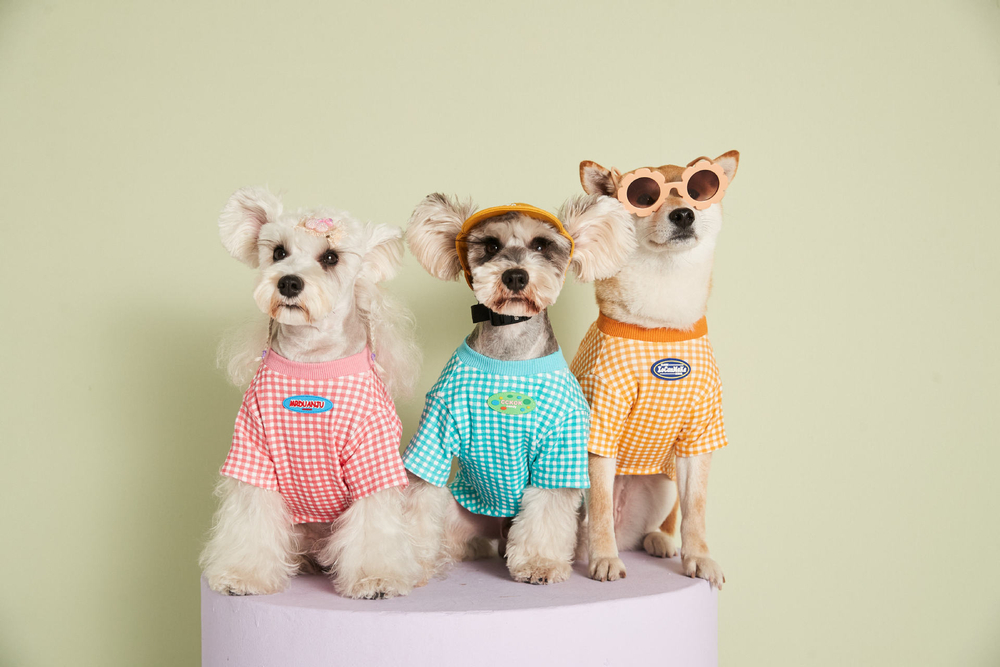 Футболка для животных Клетка