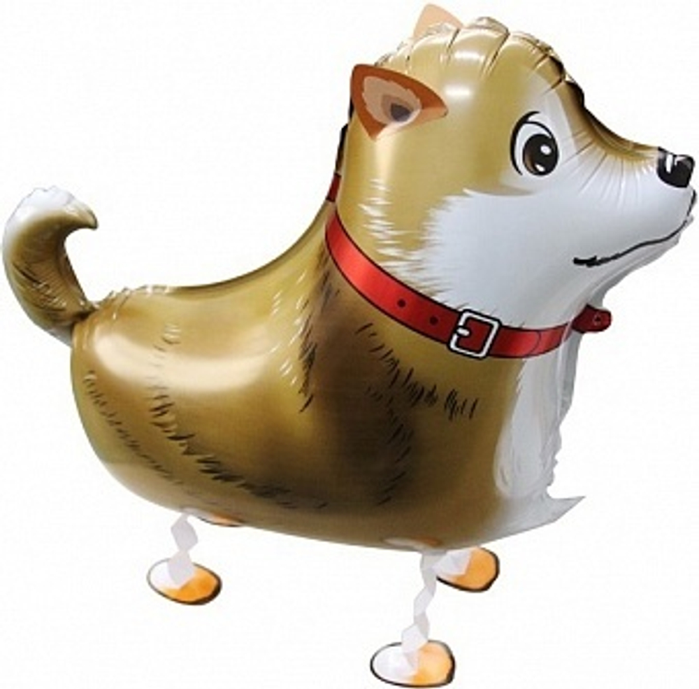 К ХОД Лайка Коричневый  (24''/61 см)