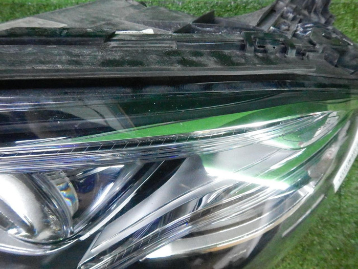 DSCN6630.JPG