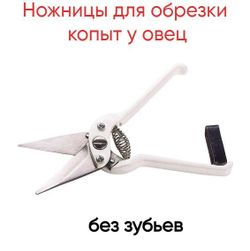 Ножницы для обрезки копыт овец и коз.