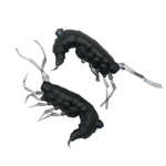 Рыболовные, силиконовые приманки. Рачки мормыш RuBaits Shrimp креветка. Набор для рыбалки на щуку, судака, окуня, форель. Зимняя рыбалка, микроджиг.