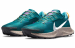 Кроссовки Nike Pegasus Trail 3