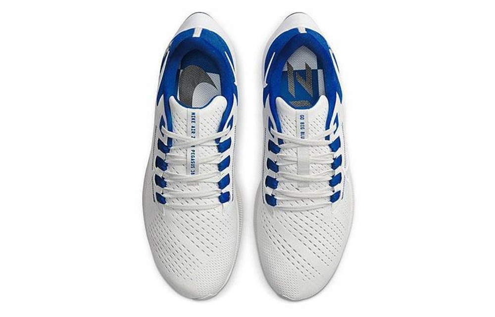 Кроссовки Nike Toto College Air Zoom Pegasus 38 "Kentucky"
