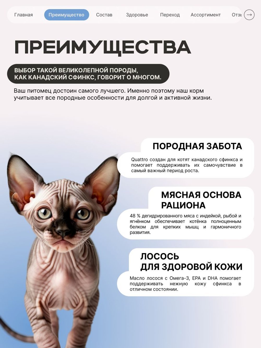 Корм сухой для котят породы Канадский сфинкс, с лососем, 2 кг, QUATTRO