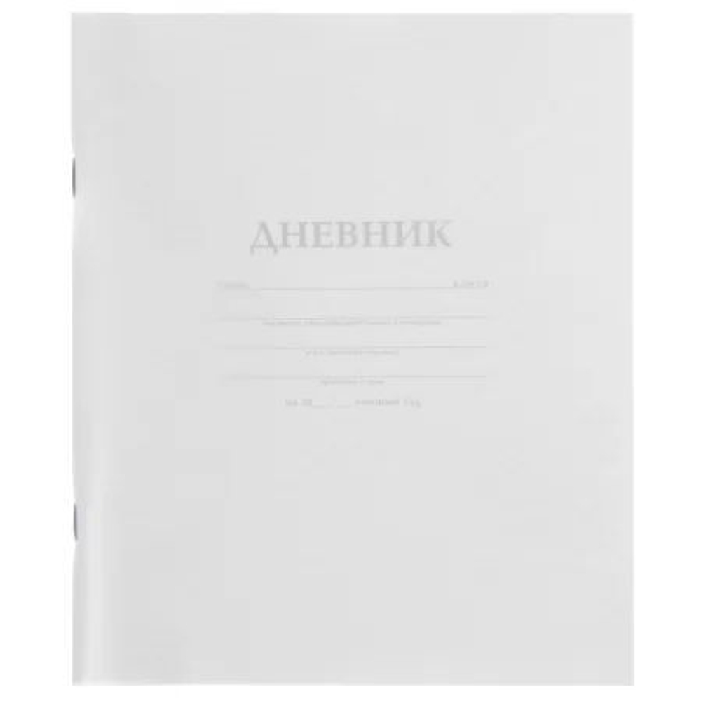 Дневник универсальн. пласт. обл. "Белый" 40 л.