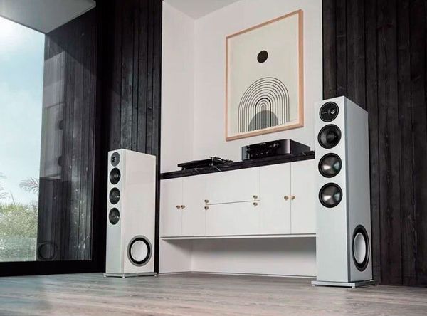 Напольные колонки Definitive Technology Demand D17